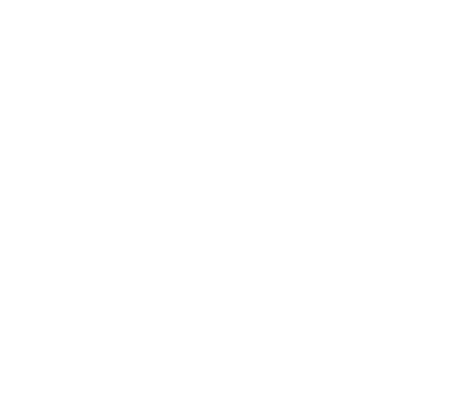 Revenum AI